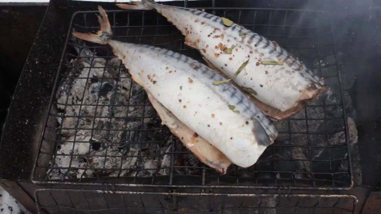 Как замариновать скумбрию для мангала. Рыба на мангале скумбрия. Рыба на мангале на решетке скумбрия. Маринад для скумбрии на мангале на решетке. Мойва на углях на решетке.