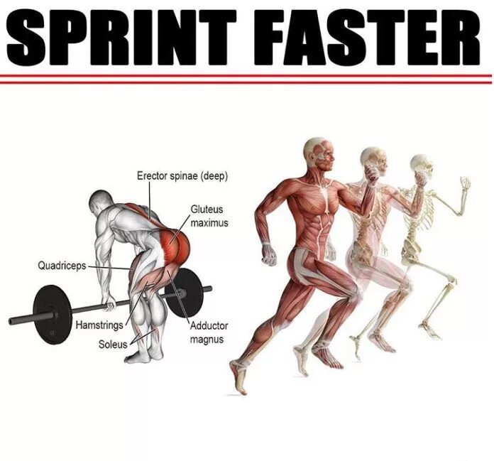 Is the faster