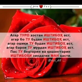 Барои бо забони точики