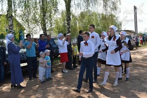 Погода в новое ибрайкино на 10 дней