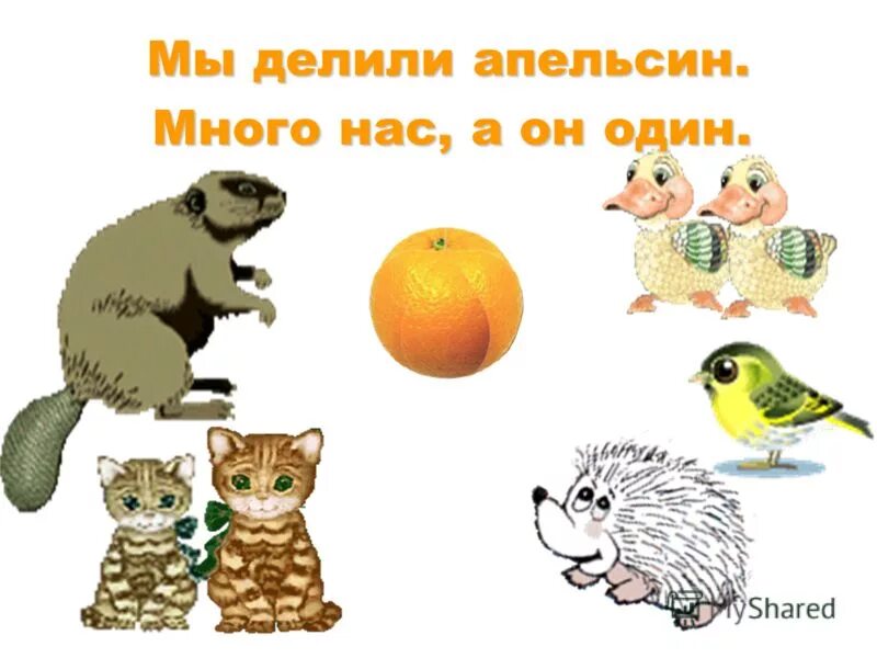 Мы делили апельсин. Стихотворение мы делили апельсин. Стишок мы делили апельсин много нас. Мы делили апельсин иллюстрации.