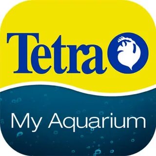 Тетра текст