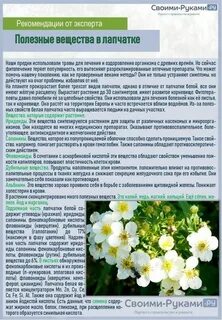 Лапчатка белая противопоказания для женщин