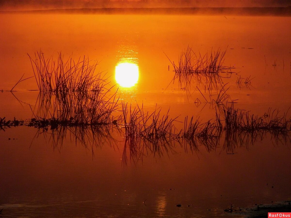 красивый закат астрахань. рассвет в астрахани. астрахань закат на реке. астрахань восход. астраханский заповедник пейзаж.