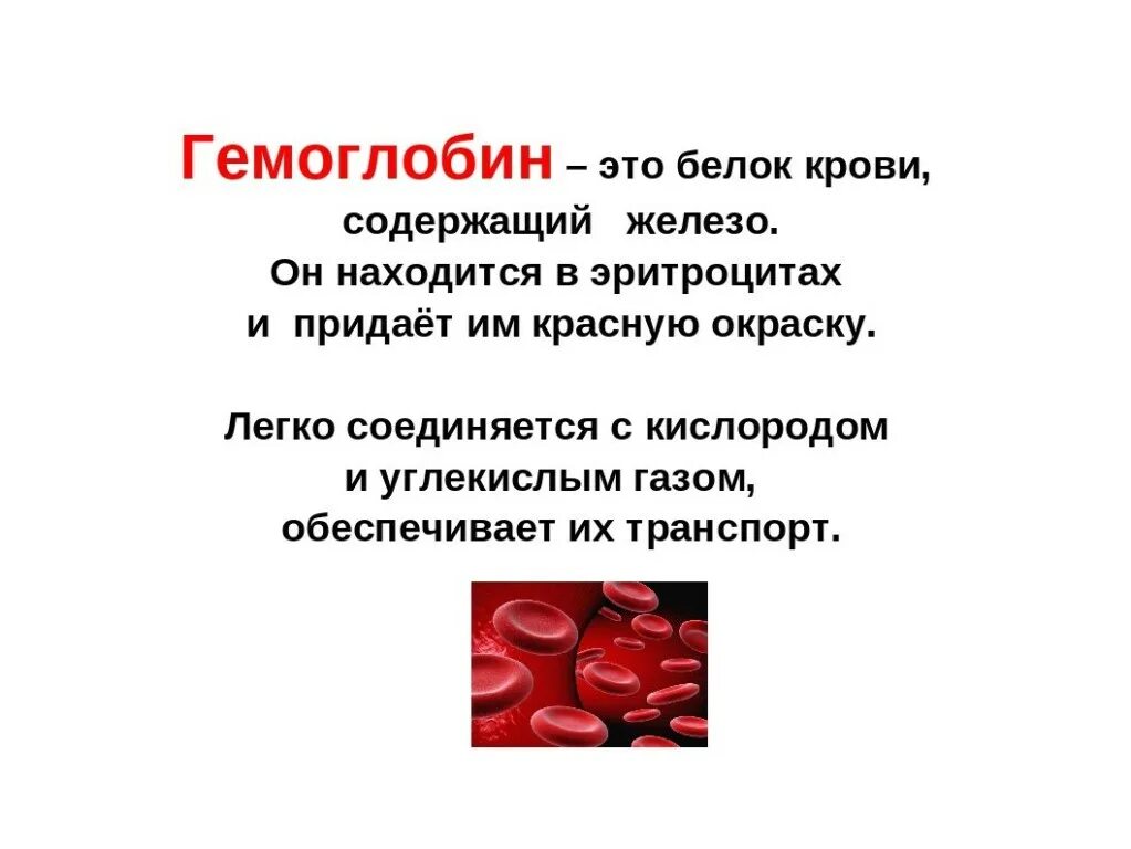 Белок гемоглобин содержится в. Гемоглобин. гемозоин. белок гемоглобин. гемоглобин это простыми словами.