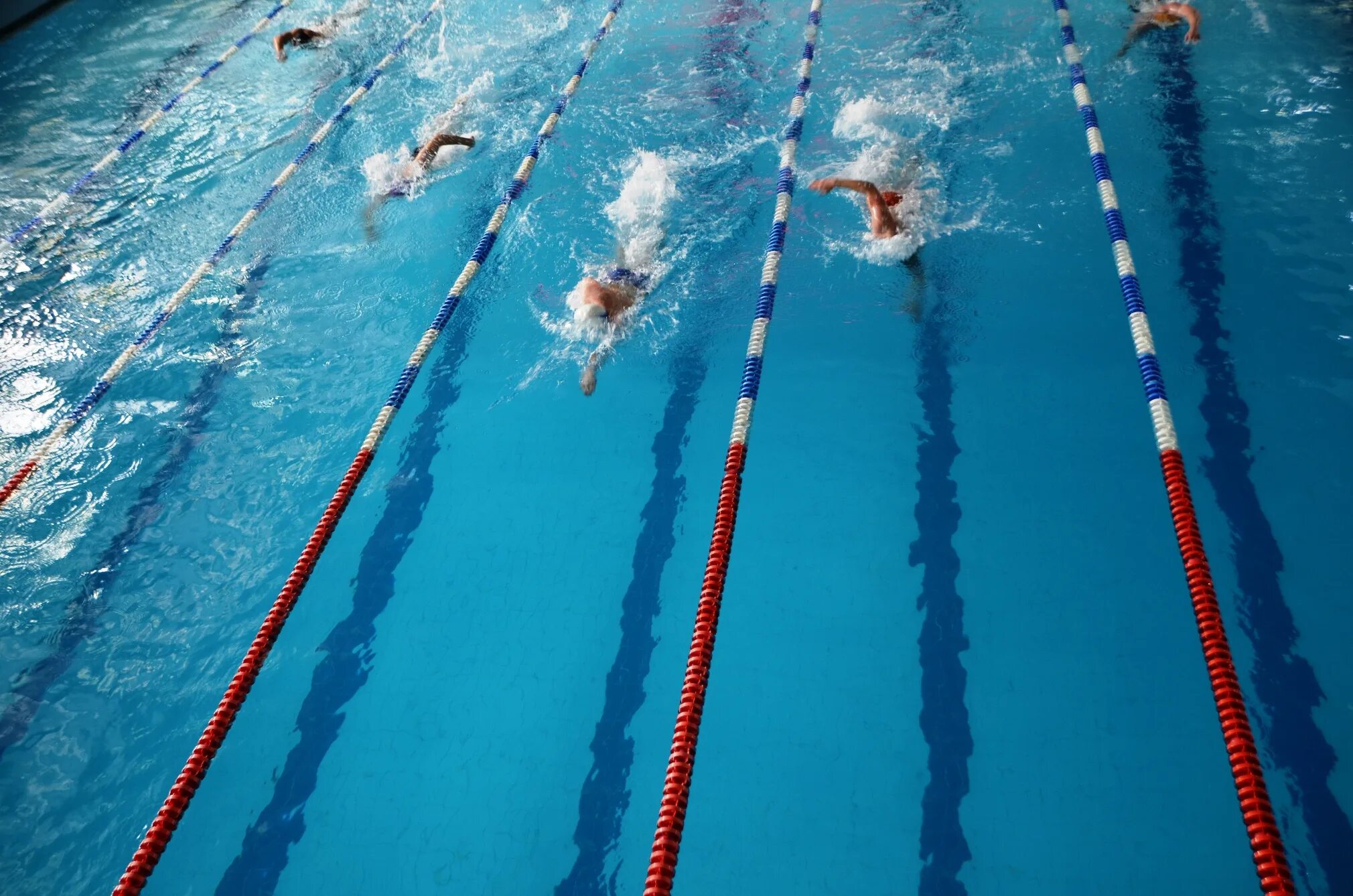 водный стадион динамо водный стадион. динамо бассейн вологда плавание. плавание бассейн динамо. водный стадион динамо фото зала. водный стадион динамо.