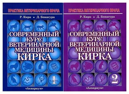 Книга кирка