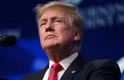 Кампания трампа