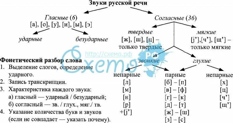 Звучащая речь анализ. Фонетический разбор слова схема таблица. Схема фонетического разбора 3 класс памятка. Фонетический разбор схема фонетического. Фонетический разбор правила памятка.