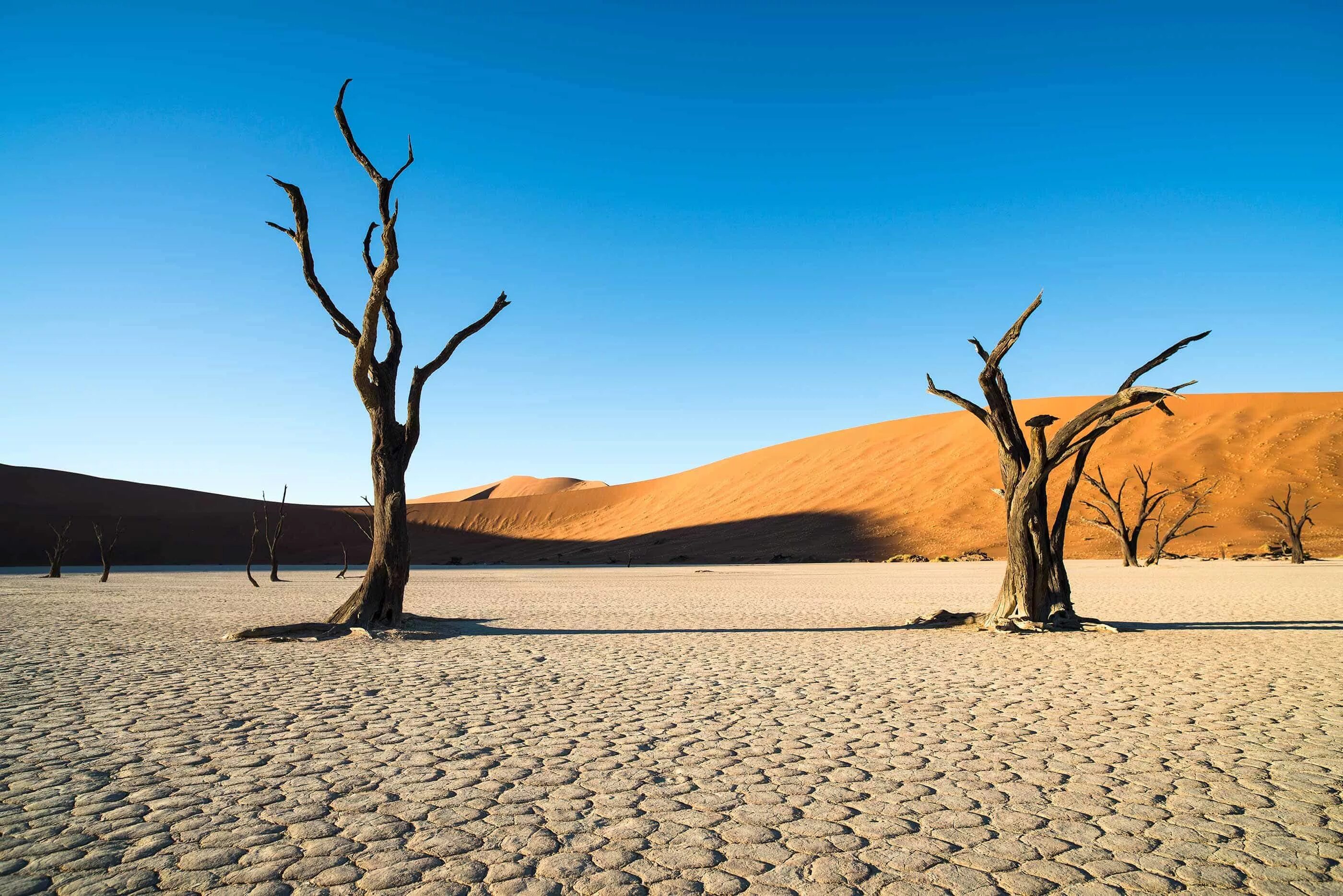 Deadvlei Намибия. Соссусфлей мертвая Долина. Сэндвич Харбор Намибия. Мертвая Долина в пустыне Намиб. Пустыни каштановые