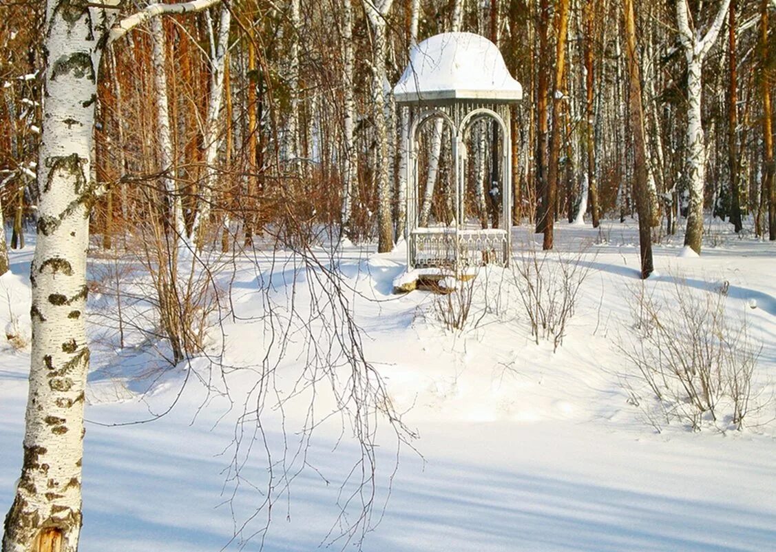 Хрустальная березка. Лесной пруд Заречный Пензенская область. Лермонтовский парк Заречный. Парк Заречный Пензенская область. Беседка город Заречный Лермонтовский пруд.