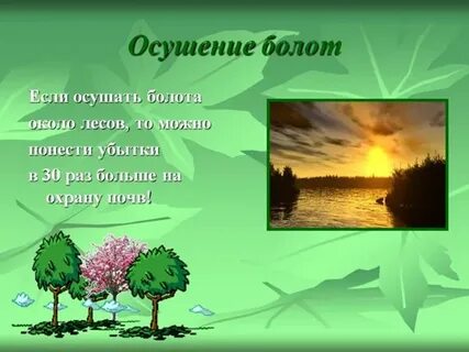 4 осушение болот в верховьях малых рек