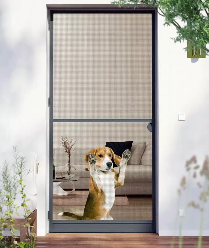 Дверь с монитором купить. Элегантные москитные сетки на дверь для собак. Дверь с экраном. Рама двери. Дверь с сеткой от животных в дом фото.