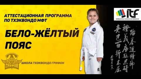 Программа тхэквондо