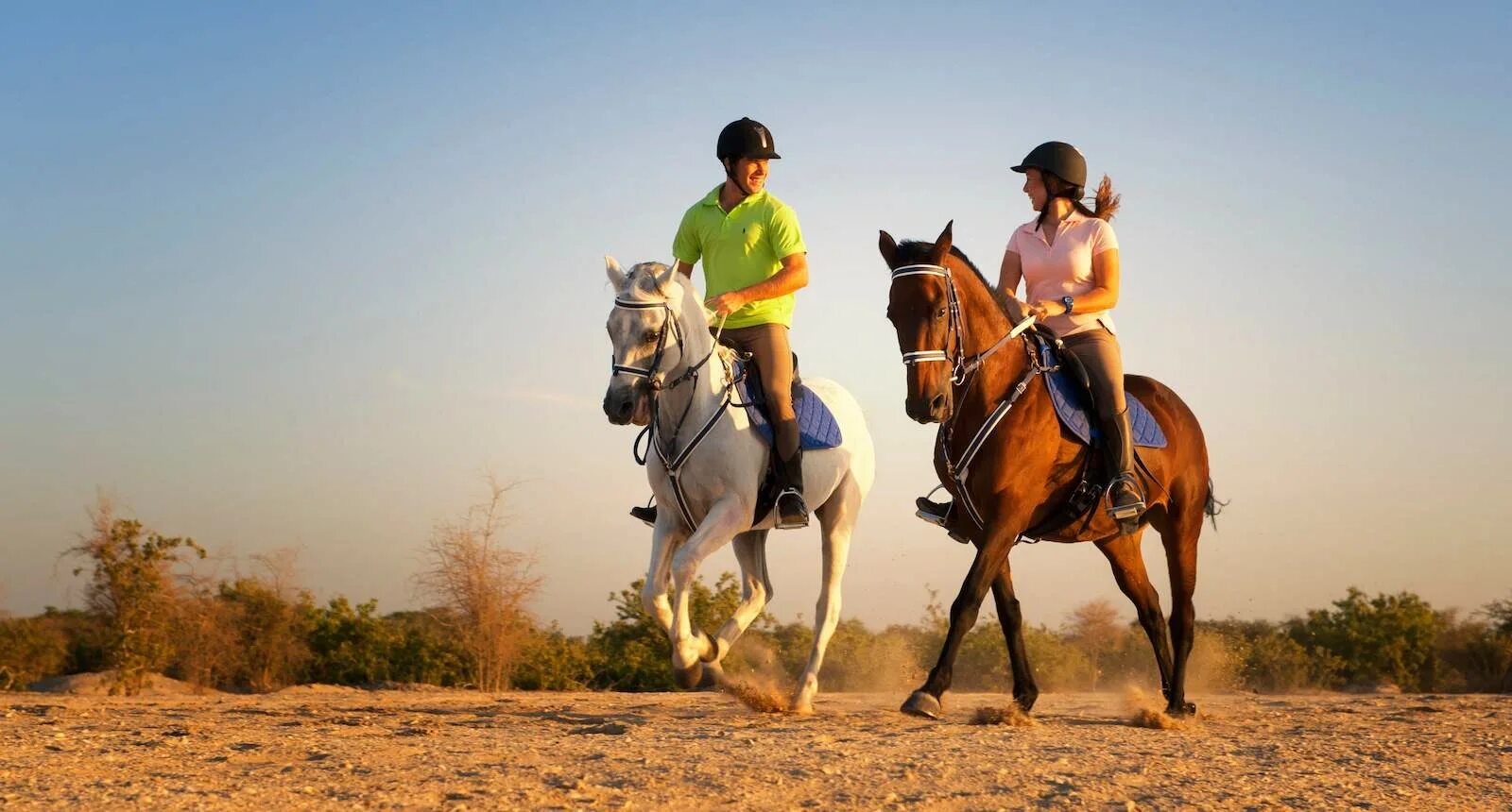 Horse riding. Конные туры по пустыне. Конный спорт в Дубае. Катание на лошадях успех. Ride the chariot