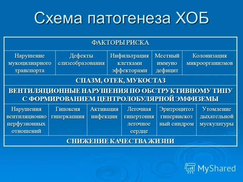 Бронхит хобл. Бронхит бронхиальная астма ХОБЛ. Патогенез хронического обструктивного бронхита. Дифференциальная диагностика ХОБЛ И бронхиальной астмы. Патогенез бронхиальной астмы и ХОБЛ.