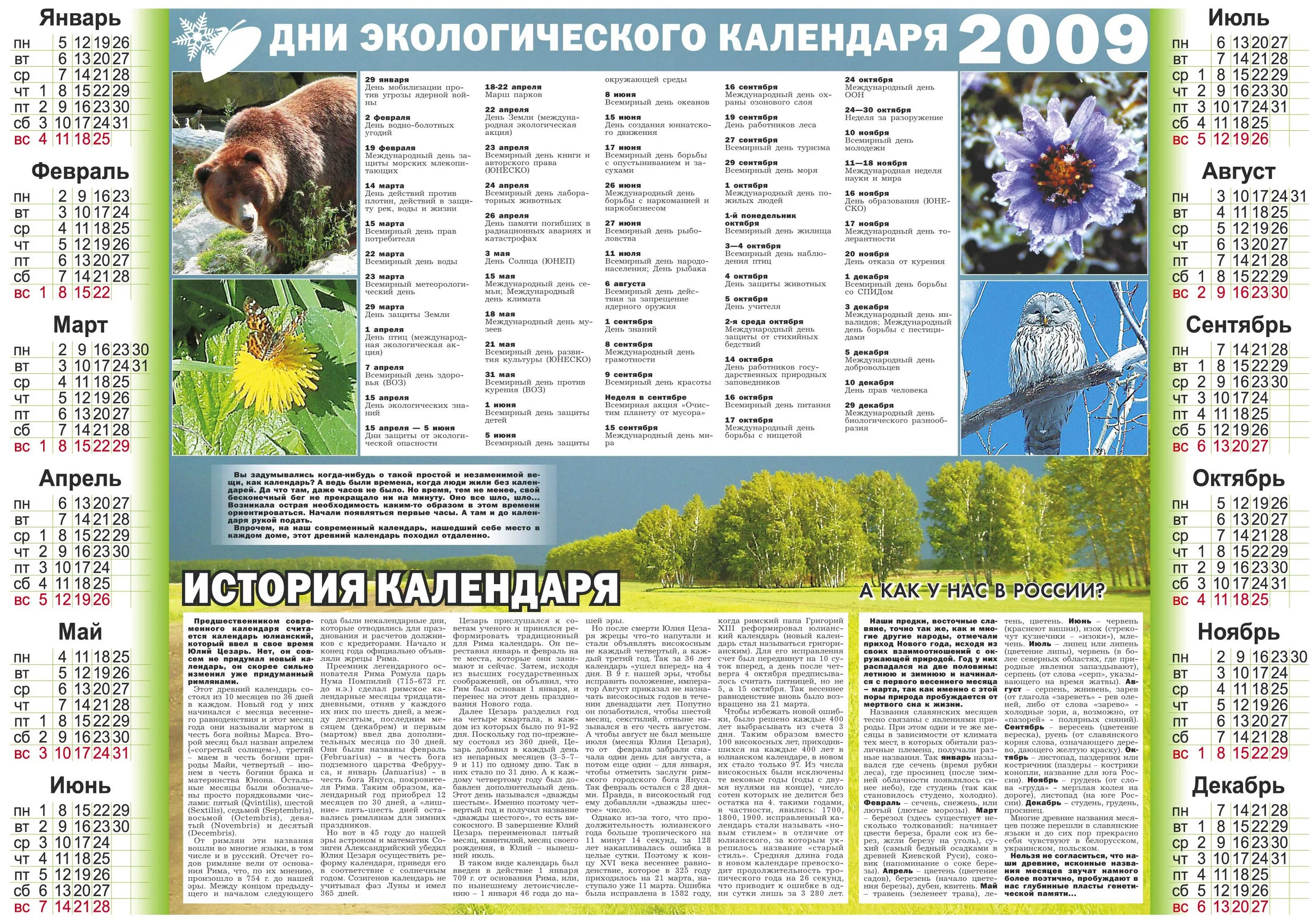 Календарь эко праздников подробно в 2025 В мире бумажного волшебства: Эко-календарь