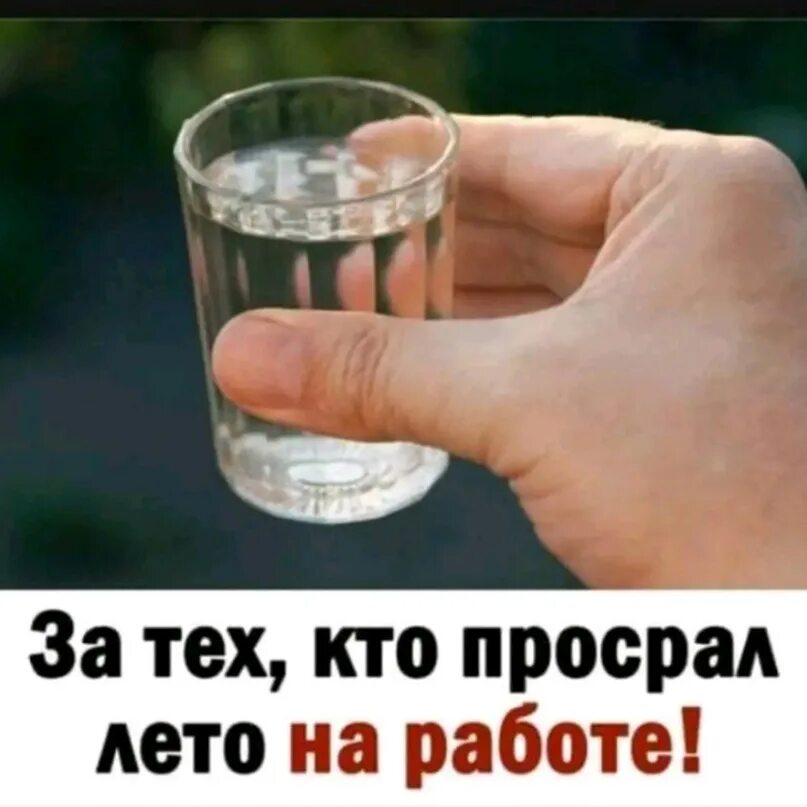 Мы просрали лето. Ты просрал лето. Мы просрали лето. Просрал лето. Просрал лето.