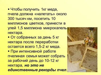 1 кг нектара