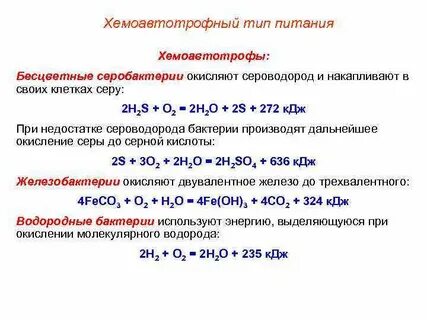 Хемосинтез реакции