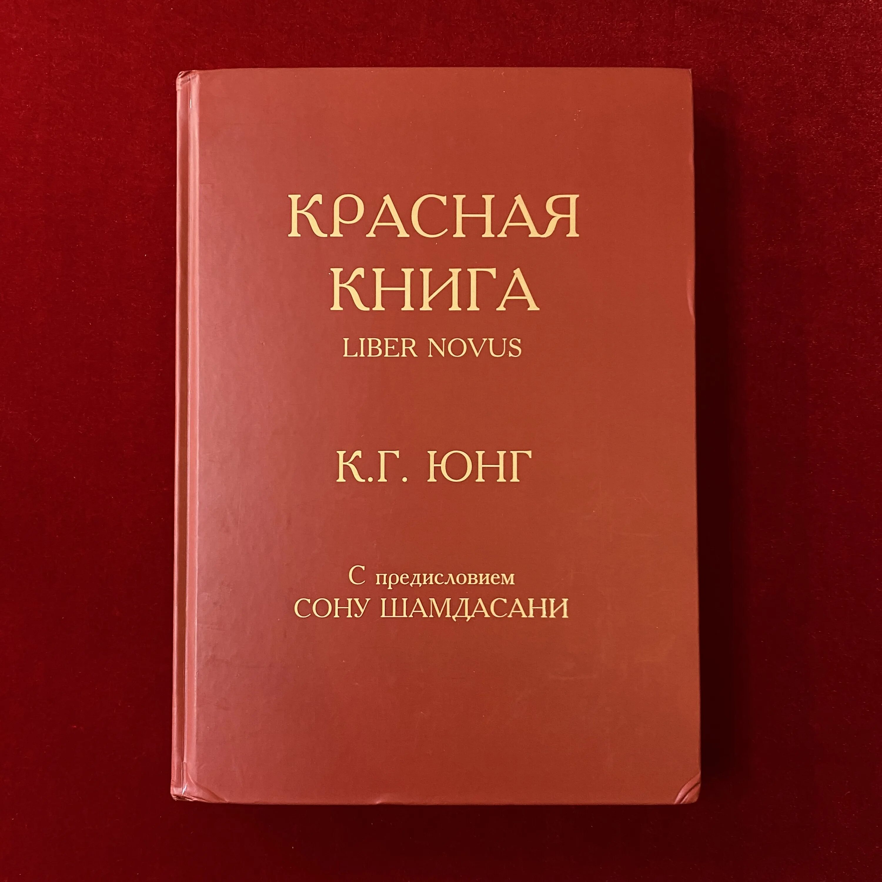 Купить книгу юнга. Красная книга Густава Юнга.