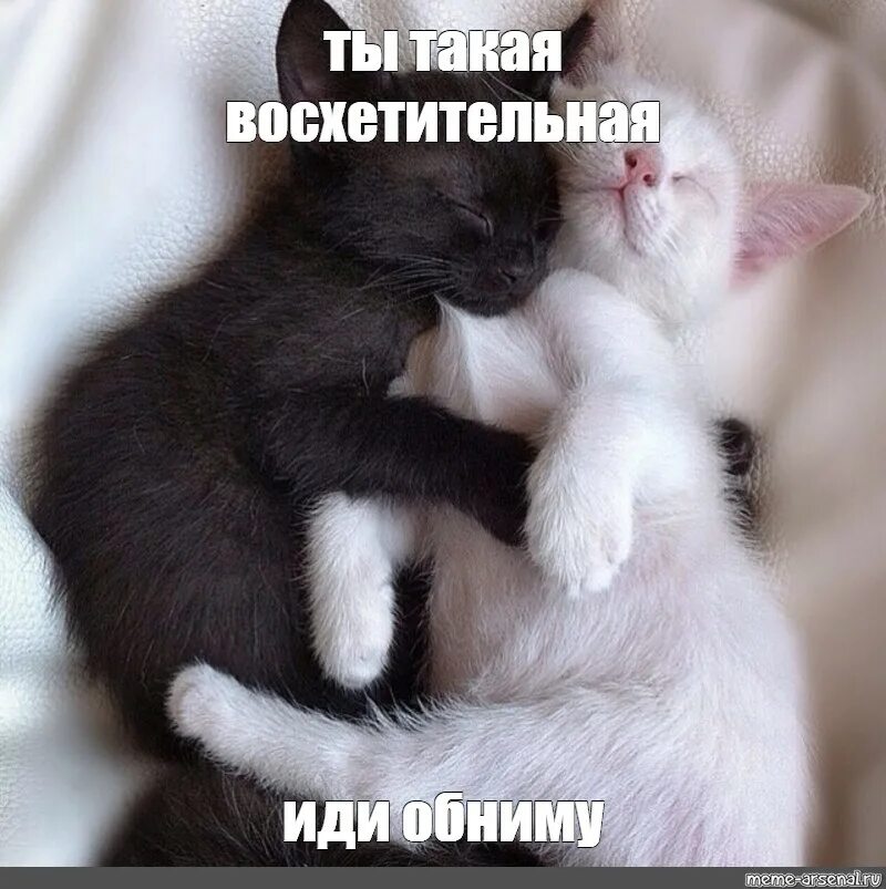 Приходи обниматься