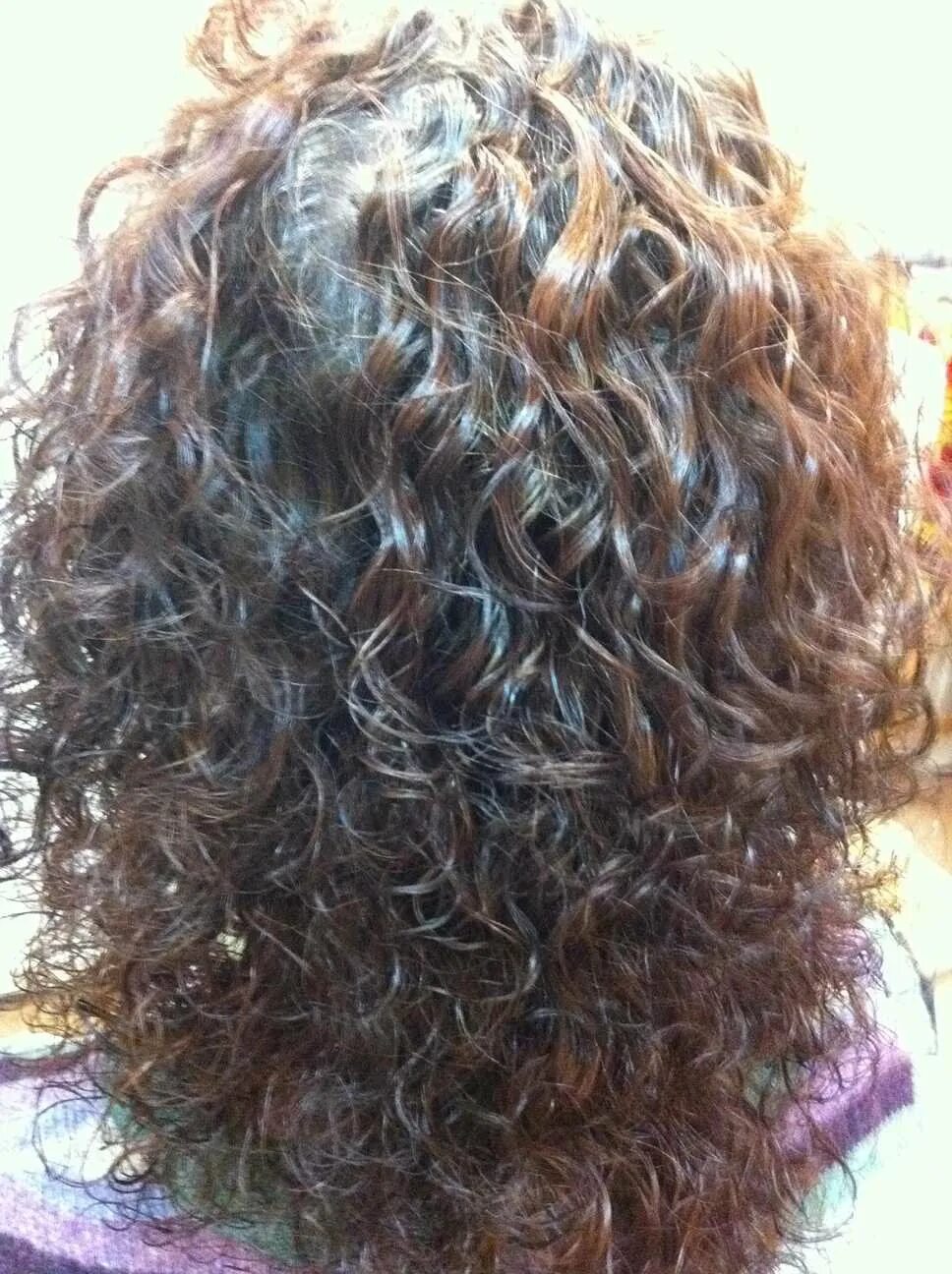 Биозавивка тюмень. Биозавивка тюмень. Био хим завивка. Биозавивка волос до и после. Кудри химка.