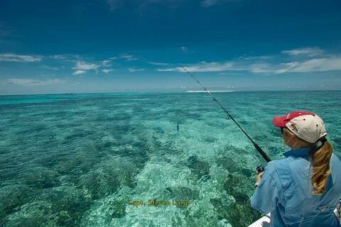 Exquisite fishing