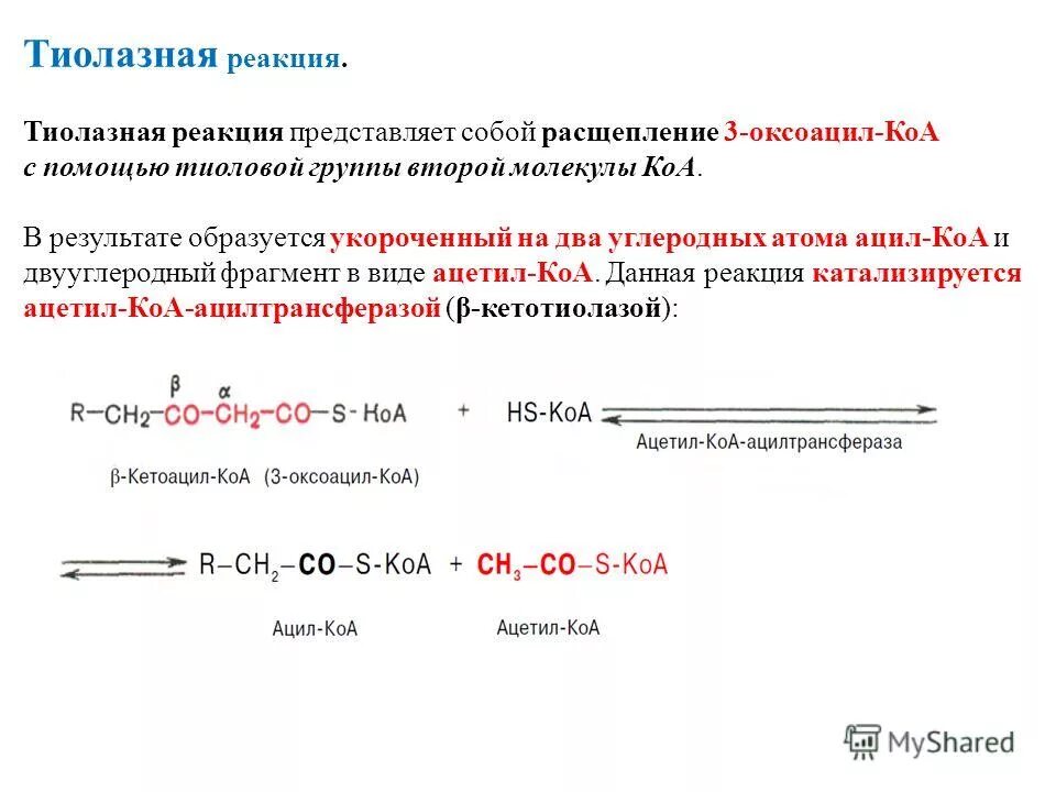 Представляет собой реакции окисления. Тиолазное расщепление. Бета окисление реакции. Окисление жирных кислот реакции. Реакции бета окисления жирных кислот.