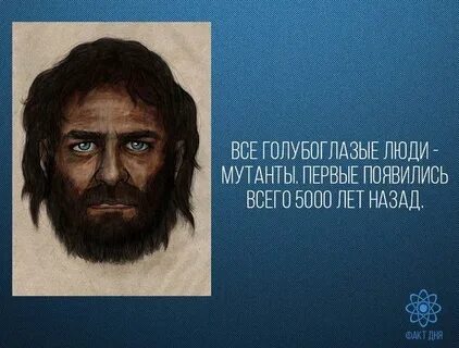 Я ищу человека синеглазого среднего роста