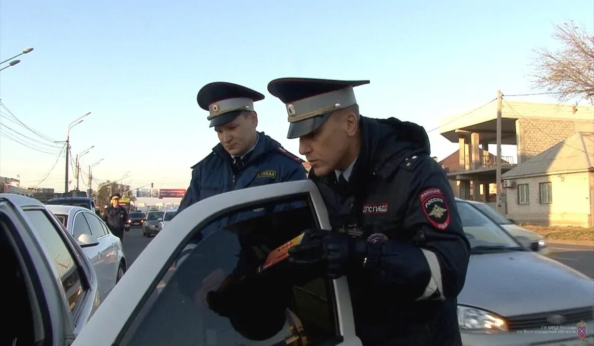 Госавтоинспекция волгоград. Полиция волгоград машины. Дпс волгоградская область. Полиция с дубовское. Сидельников мрэо камышин.