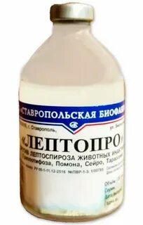 Инструкция вакцины против лептоспироза