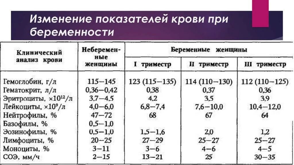 Нормы общего анализа крови у беременных 2 триместр. Общий анализ крови показатели нормы для беременных. Норма результатов анализов крови при беременности. Норма анализа крови у женщины при беременности.