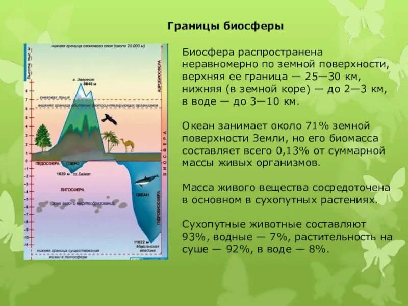 Границы биосферы в литосфере. Границы биосферы 6. Границы биосферы 5 класс биология. Граница биосферы в атмосфере. Где располагается верхняя граница биосферы