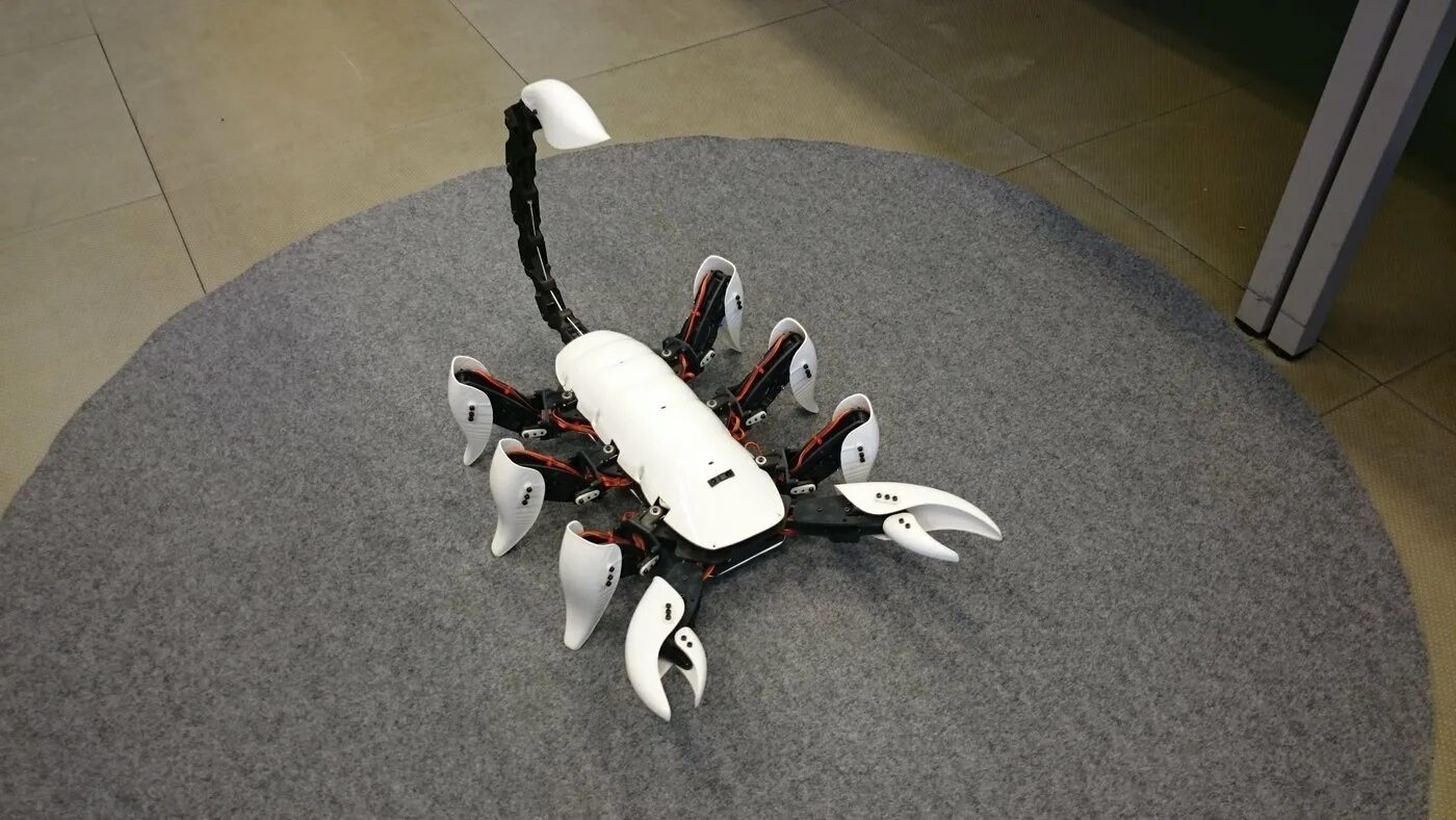 Робот обсуждай. Робот гексапод. Arduino Ant Hexapod Robot. Гексапод Скорпион. Робот Scorpion.