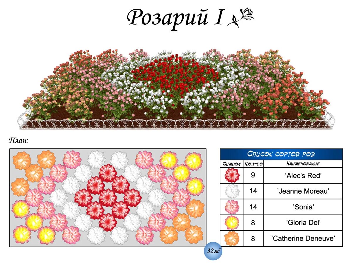 Стандартный размер цветника. Розарий схемы посадки. Схема посадки роз в розарии на даче. Схема посадки роз в розарии. Схема посадки Розария на даче.