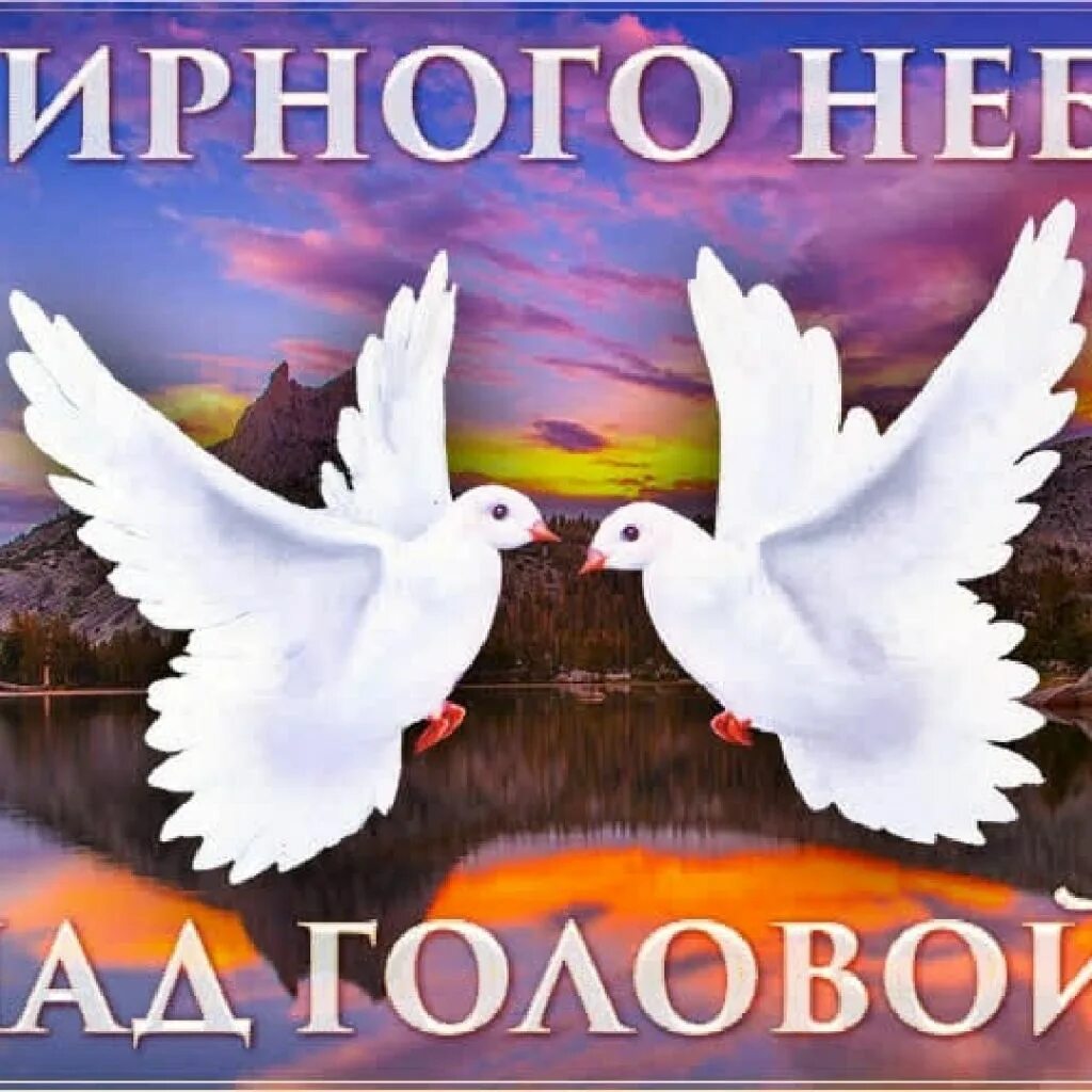 Доброго мирного неба. Открытка мирного неба. открытка всем мирного неба над головой. открытка мирного неба и добра. открытки с пожеланиями мирного неба над головой.