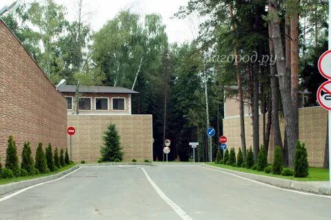 Поселок елочка