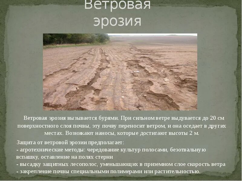 Ветровая эрозия почв причины. Ветровая и водная эрозия почв защита почв от эрозии. Ветровая эрозия. Водная и Ветровая эрозия. Размываемая почва