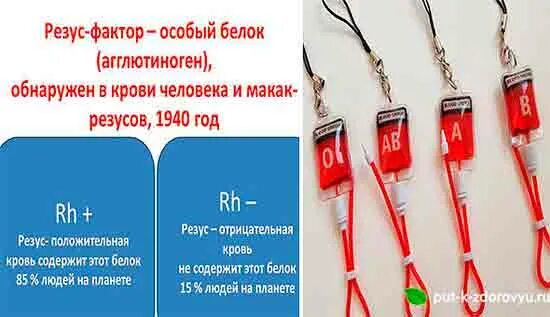 Сдать на резус фактор крови цена. Резус-фактор крови. Нулевой резус-фактор крови. Ресурс фактор в крови. Обратный фактор крови.