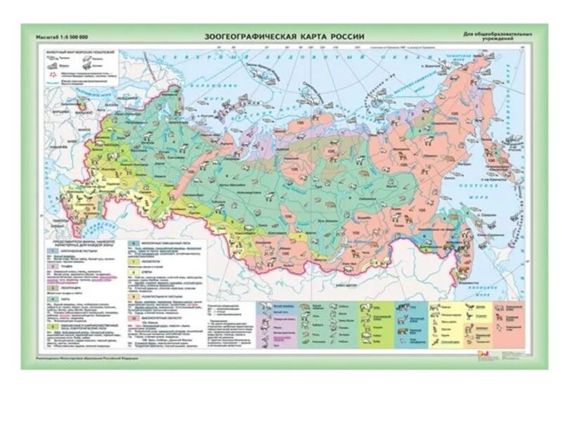 Ареал обитания рыси. План зоопарка в москве. Ареалы обитания животных. Виды ареалов животных. Московский зоопарк схема территории.
