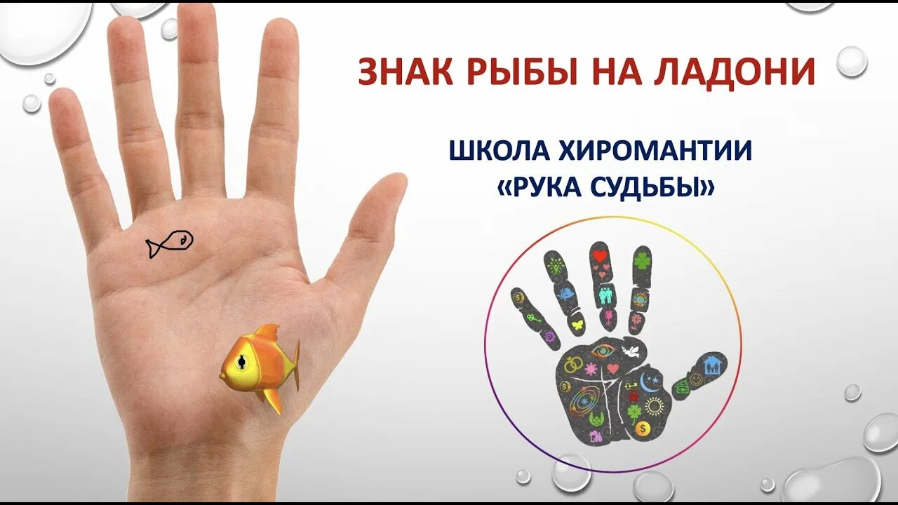 какой руке монетка