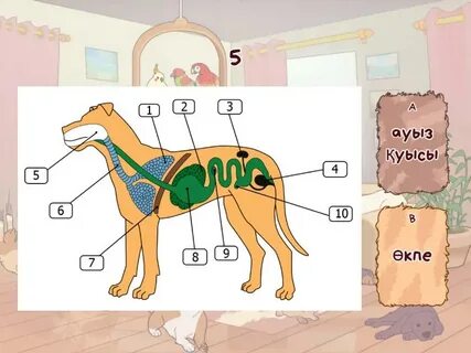 Колготкидегі үйдегі эротикалық фотосуреттер