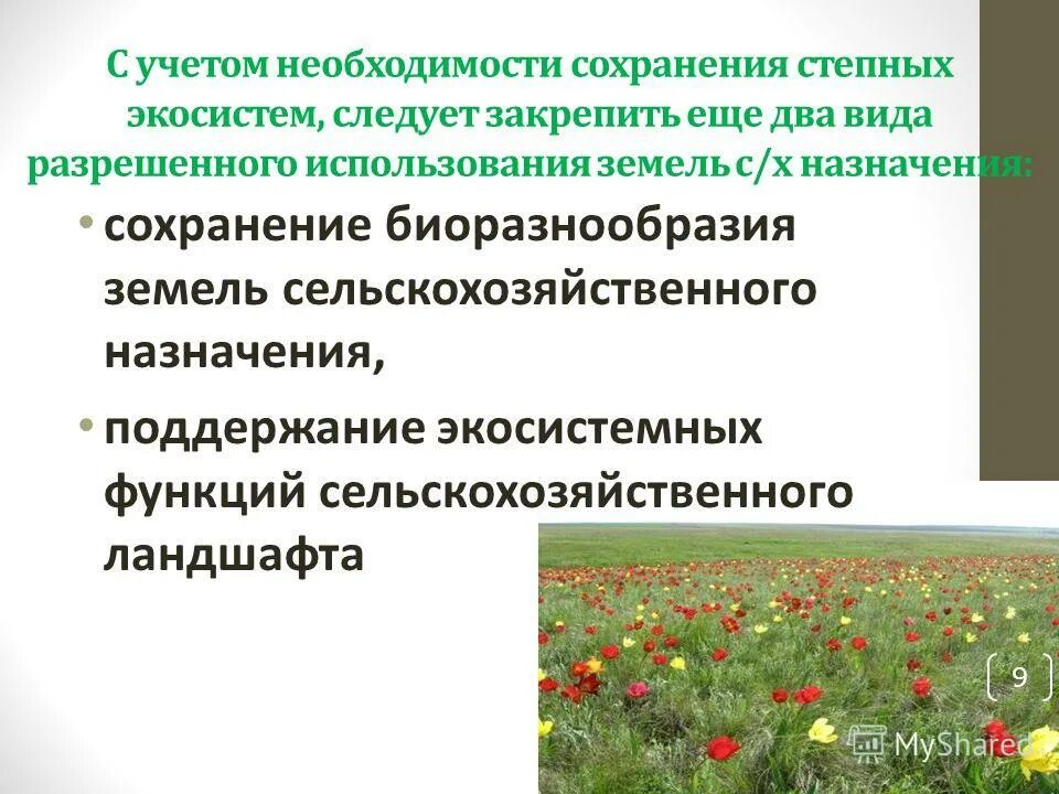Сохранение земель сельскохозяйственного назначения. Сохранение земель сельскохозяйственного назначения