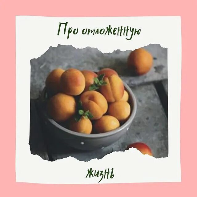 Абрикосы гладкие. Абрикос жердель. Огромный абрикос. Абрикос сорт бухара. Абрикос киото.