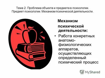 Механизм психической деятельности