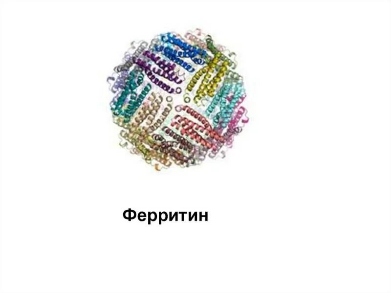 Ферритин значение. Ферритин строение молекулы. ферритин структура. белок ферритин. ферритин острофазовый белок.