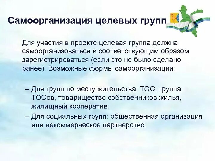 Соответствующим образом. Формы самоорганизации. Критерии самоорганизации. Самоорганизация ребенка. Целевые группы детей.