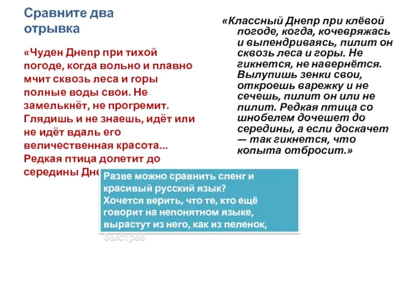 Редкая птица долетит до середины Днепра. Классный Днепр при клёвой погоде когда кочевряжась и выпендриваясь. «Редкая ... Долетит до середины Днепра!». Стихотворение птица долетит до середины Днепра. Редкая птица долетит до середины