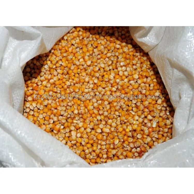 Кормовая кукуруза. Кукуруза мешок 40 кг. Кукуруза (зерно). Кукуруза зерно в мешке.